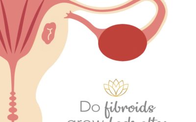 Do fibroids grow back