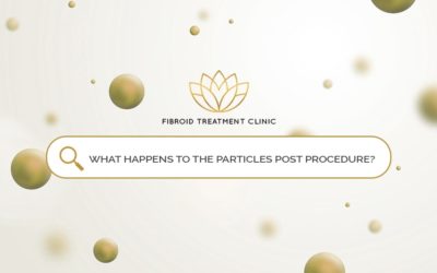 What happens to the particles post procedure?