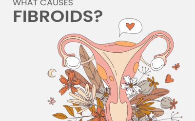 What causes fibroids?