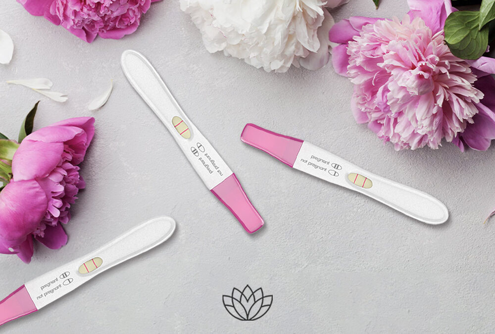 What role do the fallopian tubes play in conception?