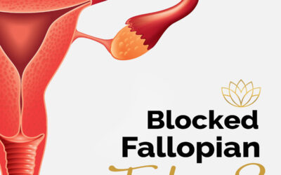 FTR – Symptoms and causes of Blocked Fallopian Tubes
