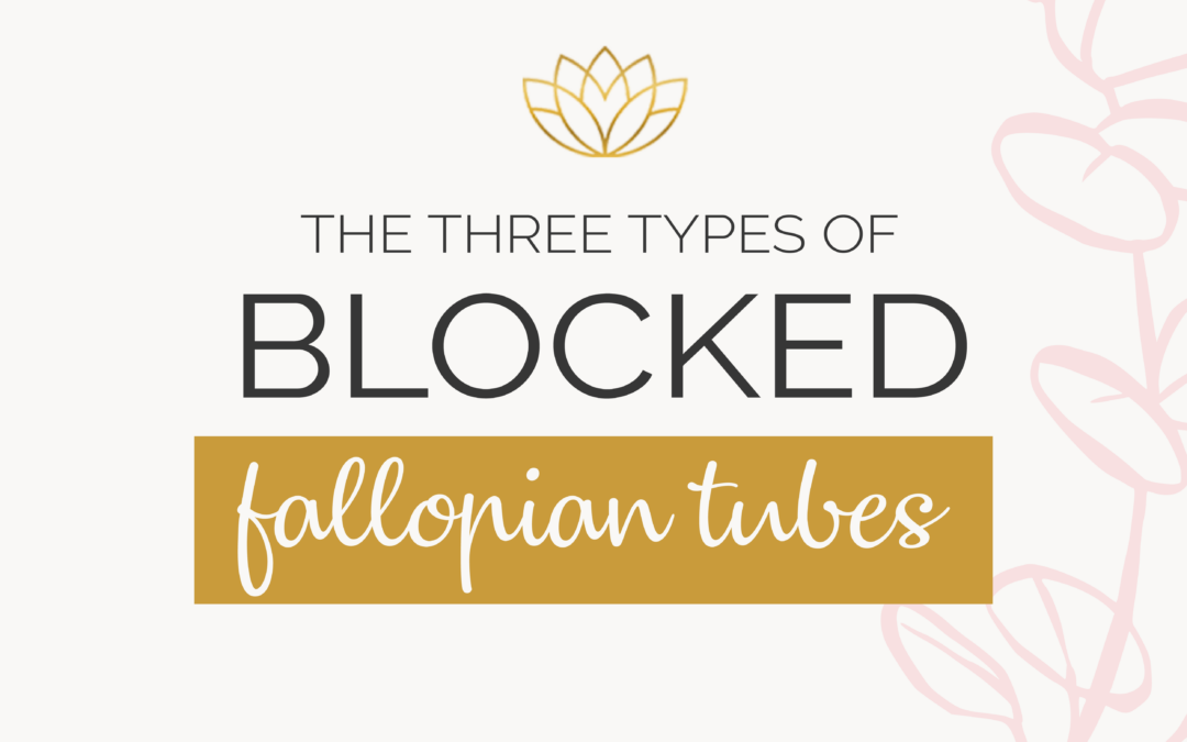 Three Types of Blocked Fallopian Tubes